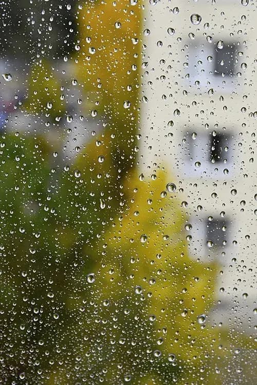 La réhabilitation des colonnes d’eau pluviale par chemisage : une solution durable